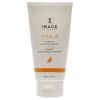 Vital C Hydrating Enzyme Masque by Image for Unisex - 2 oz Mask