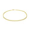 2.3mm 10k Yellow Gold Rolo Anklet